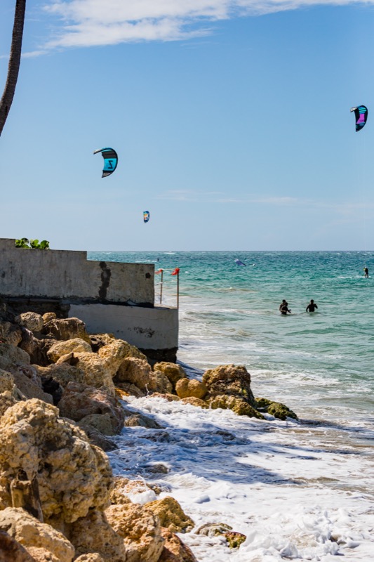 20180819-GC1A0004.jpg